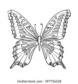 Tarjeta de mariposa voladora.