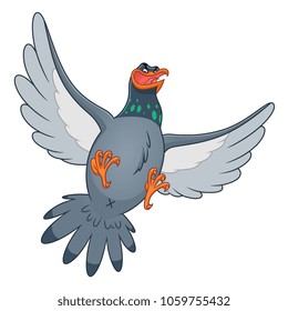 Flying cartoon funny pigeon on the white background.