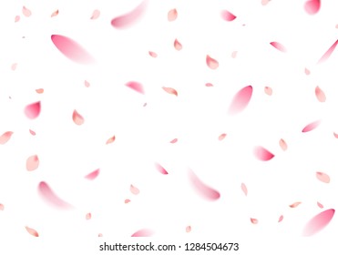 Flying cherry blossom sakura petal in springtime on white background