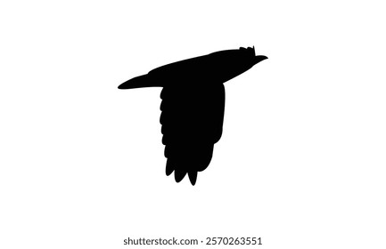 Flying Cicadabird Silhouette Design  And Vector Illustration. 