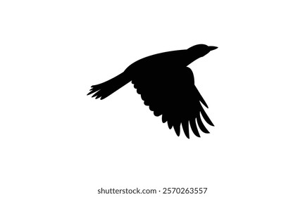 Flying Cicadabird Silhouette Design  And Vector Illustration. 