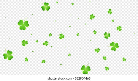 Flying clover leaves background. Saint Patrick's Day banner. Three leaf clover leaves.