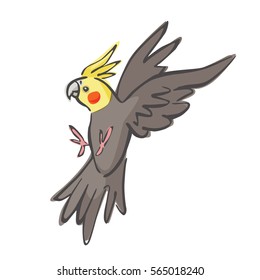 Flying Cockatiel Vector Illustration