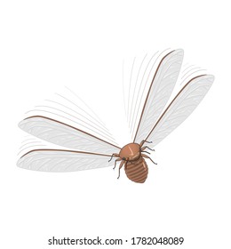 Flying Cockroach Animal Bugs And Insect Vector Design Illustration