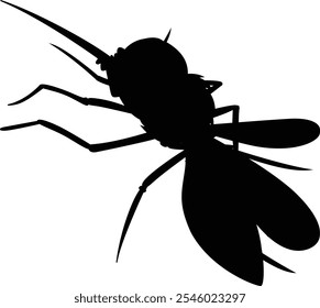 Flying Cockroach Clipart, Insect Icon, Pest Illustration