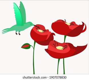 A flying colibri around red poppies.