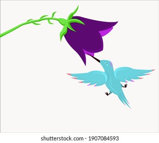 A Flying Colibri And A Bellflower.