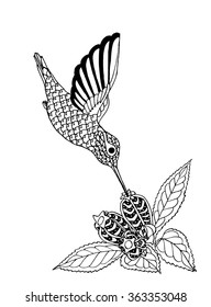 Flying colibri feeding on nectar from flowers, zentangle bird design for adult colouring book
 