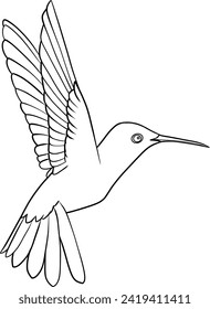 Flying colibri, hummingbird outline illustration isolated