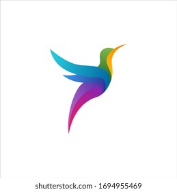 Flying colibri logo concept. colorful icon for business, education and natural company logo