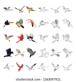 Flying color and line icons set vector concept