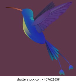 Flying colorful hummingbird