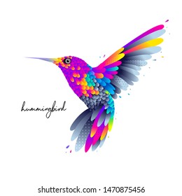 Flying colorful hummingbird bird isolated vector illustration with colorful feathers and wings