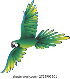 Fliegender bunter Ara Papagei Vektorgrafik