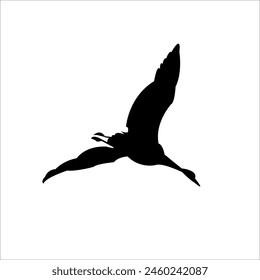 Flying Comman Crane In The Air Beautiful Silhouette Vector