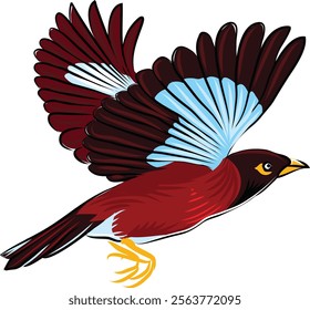 A Flying common myna Vector Illustration