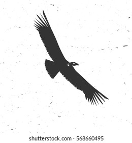 Flying condor silhouette on the white background. Vector illustration. Concept for shirt, print, seal, overlay or stamp.