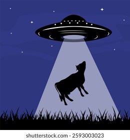 A flying cow during an abduction by an alien UFO into the spaceship on a field. Silhouette of cattle being abducted on a country farm at night by a flying saucer with a ray or beam of light