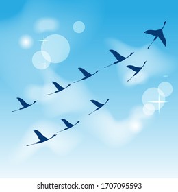 Fliegende Krane. Am 9. Mai russischer Siegesfeiertag. 75. Jahrestag des Endes des großen Patriotischen Krieges in Russland (UdSSR).