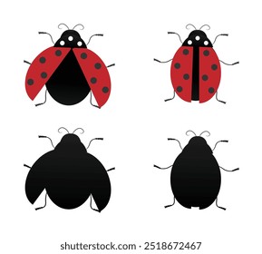 Flying and Crawling Ladybug Flat Style Isolado em Branco. Vetor de conceito de animais e insetos