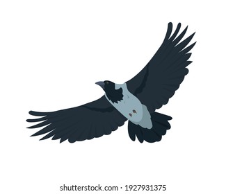 Flying Crow bird. Grey crow icon isolated on white background. Vector illustration.