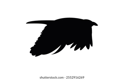 Flying Crow Bird Silhouette Design  And Vector Illustration. 