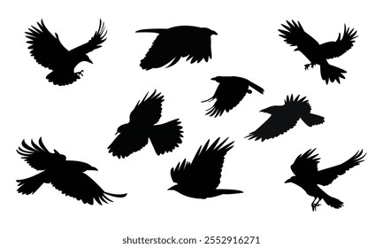 Flying Crow Bird Silhouette Design  And Vector Illustration. 