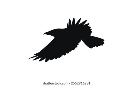 Flying Crow Bird Silhouette Design  And Vector Illustration. 