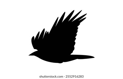 Flying Crow Bird Silhouette Design  And Vector Illustration. 