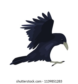 Flying crow high quality color icon