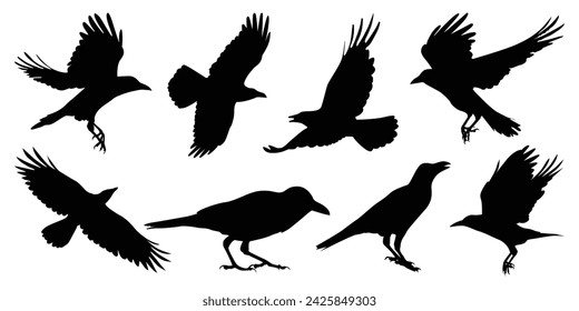 
Flying Crow or Raven Silhouettes vector