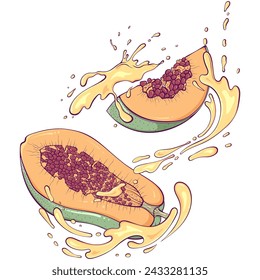 Flying cut and half papaya with juice splash. Liquid drops. Vector illustration in hand drawn cartoon style. Close up tropical fruit ingredient for fresh juice isolated on white