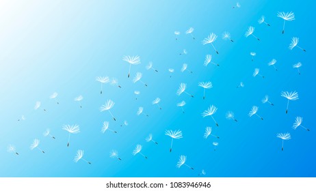 flying dandelion against the sky