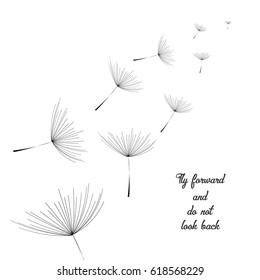 Flying Dandelion black. Abstract dandelion background