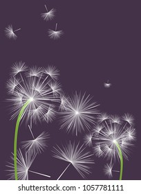 Flying dandelion seeds background design