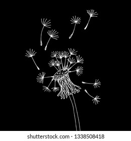 Flying dandelion seeds, flower. Vector illustration. Healing plant. Drawing, handmade. A tattoo of a meadow plant. Symbol of ease. Weed.
