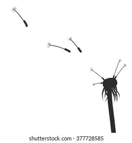 Flying dandelion seeds, natural composition with wild plants, drawing floral card, hand drawn vector illustration