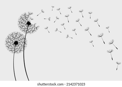 Flying Dandelion Seeds, Vector Dandelion Blowing Silhouette.