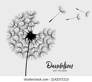 Flying Dandelion Seeds, Vector Dandelion Blowing Silhouette.