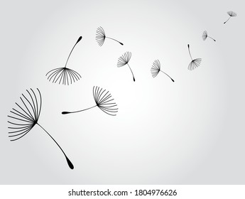 Flying dandelion seeds, vector icon
