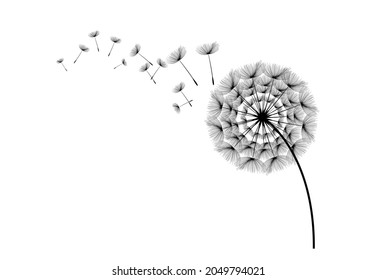 Flying dandelion seeds, vector icon. Vector isolated decoration element from scattered silhouettes.