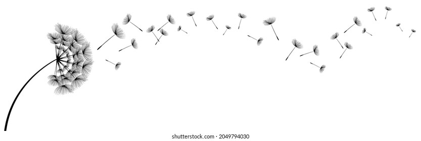 Semillas de diente de león volando, icono del vector. Elemento de decoración vectorial aislado de siluetas dispersas.