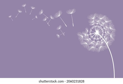 Flying dandelion seeds, vector icon. Vector isolated decoration element from scattered silhouettes.