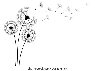 Flying dandelion seeds, vector icon. Conceptual illustration of freedom and serenity.