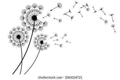 Flying dandelion seeds, vector icon. Vector isolated decoration element from scattered silhouettes.