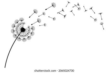 Flying dandelion seeds, vector icon. Vector isolated decoration element from scattered silhouettes.