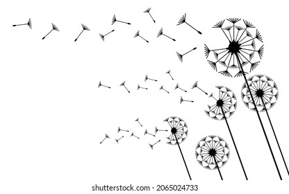 Flying dandelion seeds, vector icon. Vector isolated decoration element from scattered silhouettes.