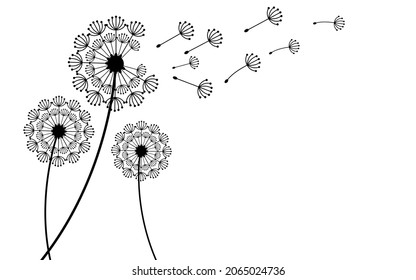 Flying dandelion seeds, vector icon. Vector isolated decoration element from scattered silhouettes.