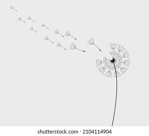 Flying dandelion seeds, vector icon. Vector isolated decoration element from scattered silhouettes.