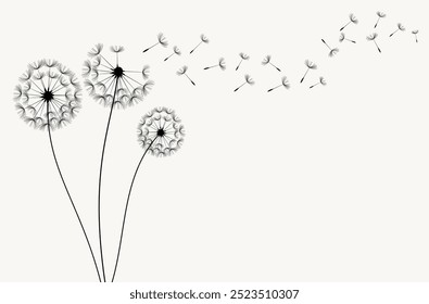 Flying dandelion seeds, vector icon. Vector isolated decoration element from scattered silhouettes.